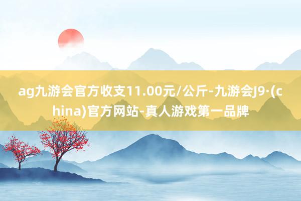 ag九游会官方收支11.00元/公斤-九游会J9·(china)官方网站-真人游戏第一品牌