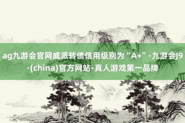 ag九游会官网威派转债信用级别为“A+”-九游会J9·(china)官方网站-真人游戏第一品牌